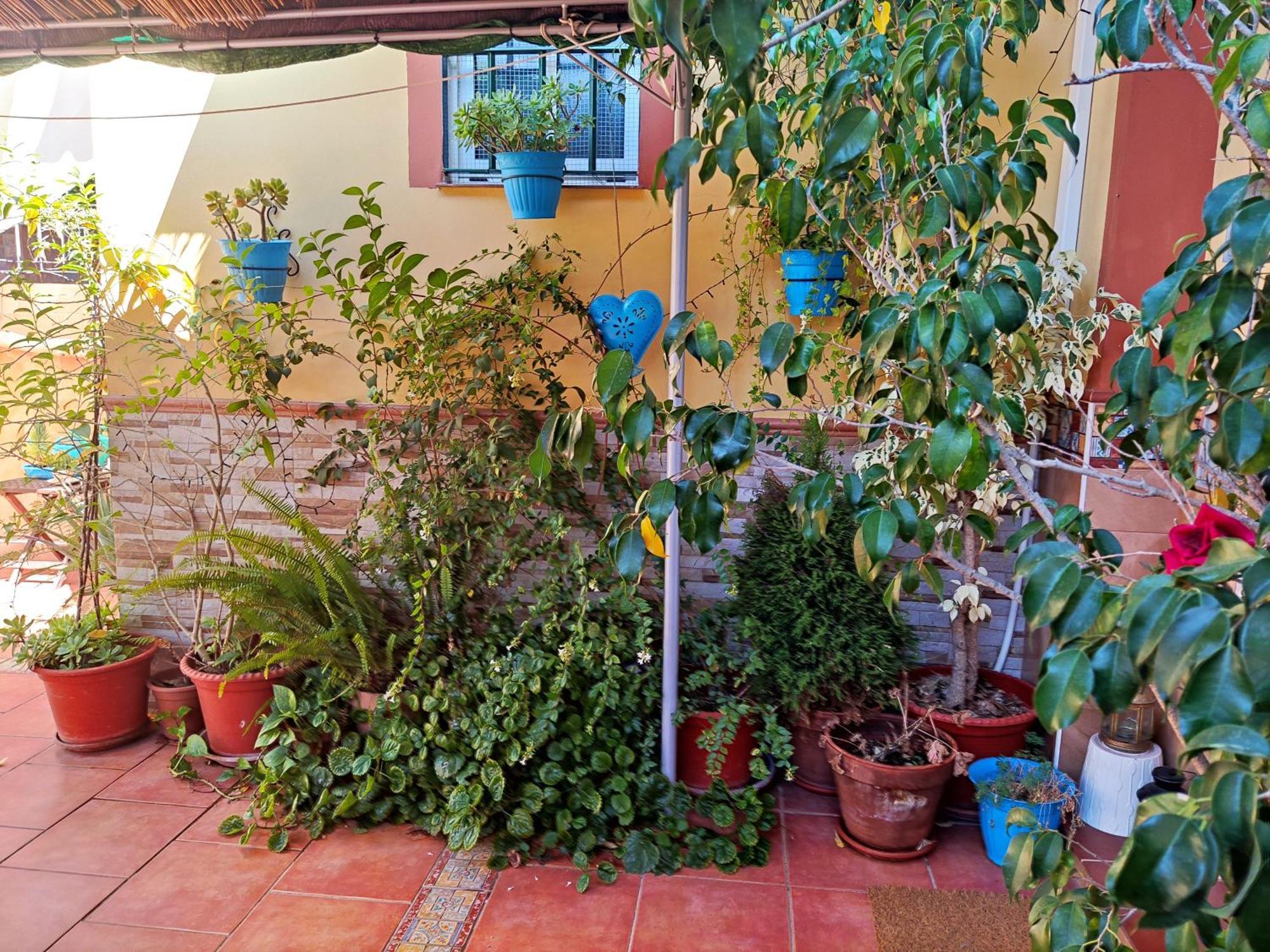 Apartamento Cool Garden Майрена-дель-Альхарафе Екстер'єр фото