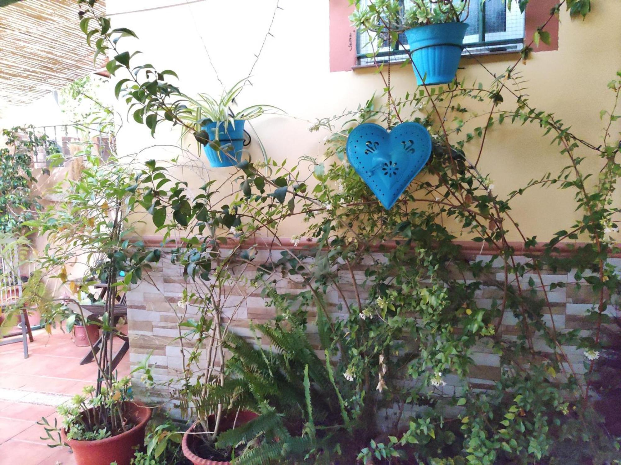 Apartamento Cool Garden Майрена-дель-Альхарафе Екстер'єр фото